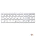 Клавиатура A4Tech Fstyler FX50 белый USB slim Multimedia (FX50 WHITE)