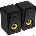 RITMIX SP-3040W {RMS: 10 Вт (2 х 5 Вт), Диаметр динамиков: 2’’, Частотный диапазон: 180 -20 кГЦ, Отношение с