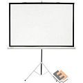 Экран Cactus Triscreen CS-PST-150X150 150х150 см 1:1, напольный белый