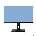 LCD Мониторус HS 2410 (WD2410-K-VHDPI-AS175Q) {23.8",1