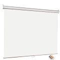 Lumien Eco Picture [LEP-100106] Настенный экран  127х127см (рабочая область 121х121 см) Matte White восьмигранный ко