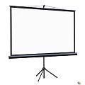 Lumien Eco View LEV-100114 Экран на штативе 115x200 см (раб.область 109х194 см) (88") Matte White 16:9