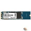 QUMO M.2 SSD 256GB QM Novation Q3DT-256GMSY-M2