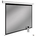 Экран Cactus 138x220см SIlverMotoExpert CS-PSSME-220X138-WT 16:10 настенно-потолочный рулонный белый (моторизов