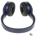Panasonic RB-HF420BGEA (Мониторные Bluetooth наушники (Синий)