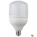 ЭРА Б0027006 Лампа светодиодная STD LED POWER T120-40W-6500-E27 E27 / Е27 40Вт колокол холодный дневной свет