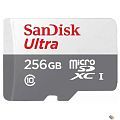 Micro SecureDigital 256GB SanDisk Ultra microSDXC class 10 UHS-1 (SDSQUNR-256G-GN3MN)