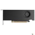 VGA NVIDIA RTX PRO 2000 Blackwell, 16 GB GDDR7 with ECC, mini DisplayPort 2.1, PCI Express 5.0 x8, Bulk  