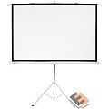 Экран Cactus Triscreen CS-PST-104x186 104.4 x 186см 1:1 напольный рулонный белый