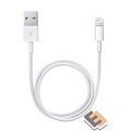 Apple Lightning to USB cable (0.5 m) [ME291ZM/A]