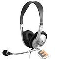 RITMIX RH-533USB Silver {Гарнитура. 40 мм, 20-20000 Гц, 32 Ом, 105 дБ, конденсаторный всенаправленный микрофон, 2,2 к