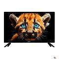 Topdevice 24'' TDTV24BS01H_BK {HD/VA/Smart WildRed/1-8Gb/Black}