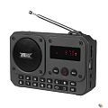 RITMIX RPR-010