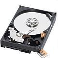 2TB WD Caviar Black (WD2003FZEX) {Serial ATA III, 7200 rpm, 64Mb buffer}
